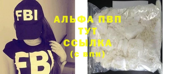 ПСИЛОЦИБИНОВЫЕ ГРИБЫ Горняк
