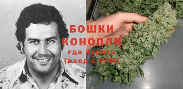 винт Гусиноозёрск