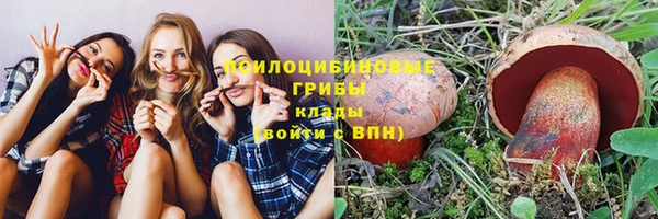 винт Гусиноозёрск