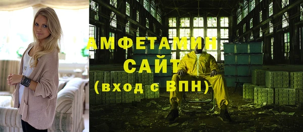 ПСИЛОЦИБИНОВЫЕ ГРИБЫ Горняк