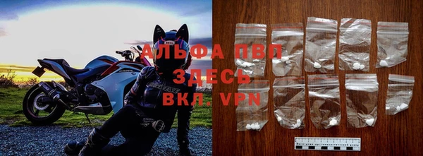 дмт Мегион
