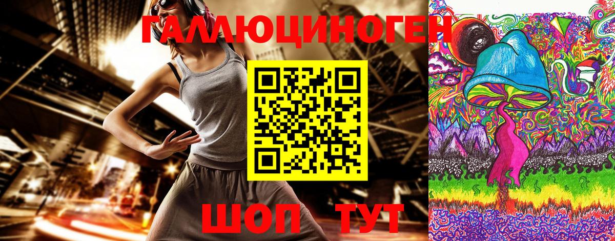 где найти   Вход с VPN  Можайск  Галлюциногенные грибы Psilocybe 