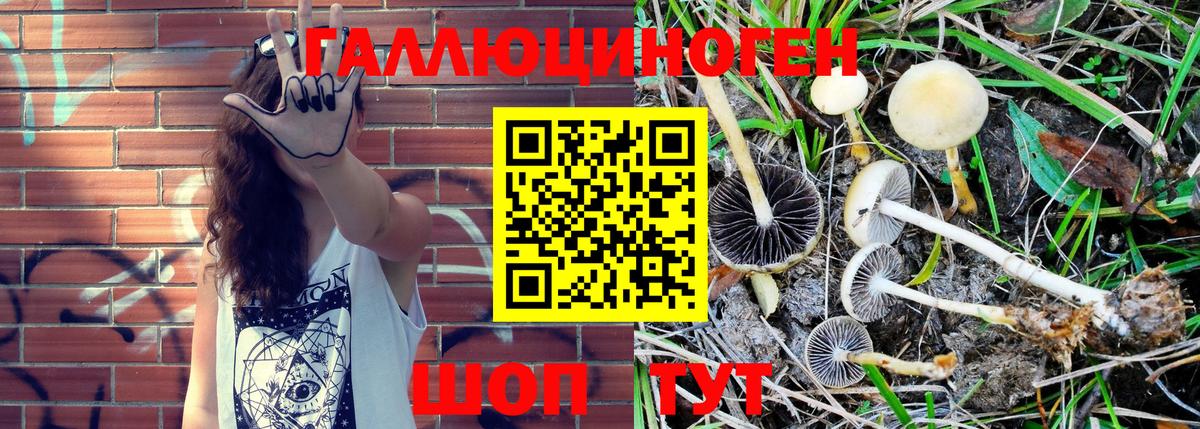 Галлюциногенные грибы мицелий  Можайск 